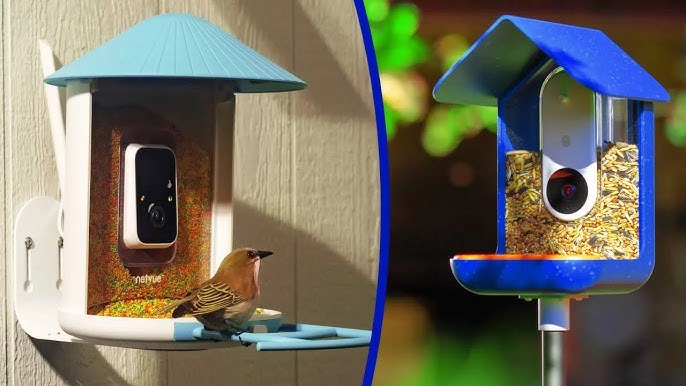 Bird Feeder Cameras